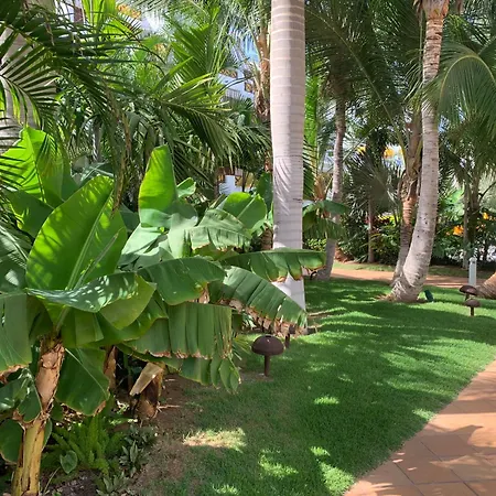 Apartament Sea View At Park Santiago